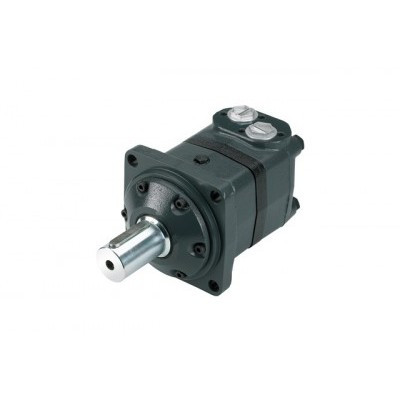 Orbital Motors, OMS, OMT & OMV illustration